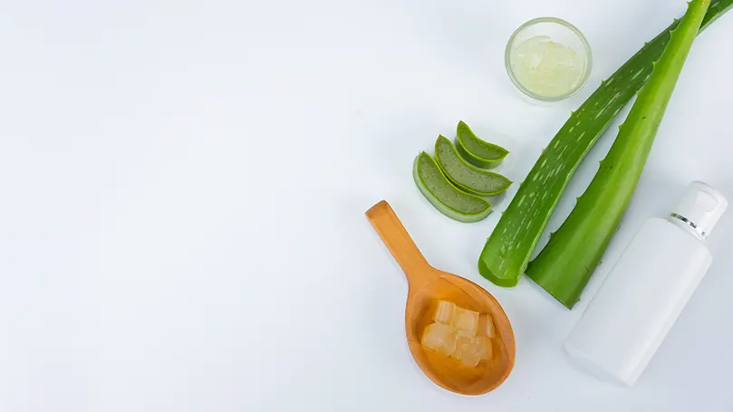 Aloe Vera Infusionsmaterial