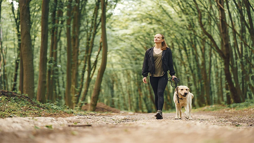 en bild av en kvinna som vaknar med sin hund i skogen