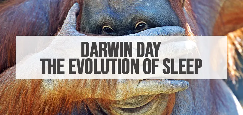 Utvalda bilder för Darwin Day - Sömnens utveckling