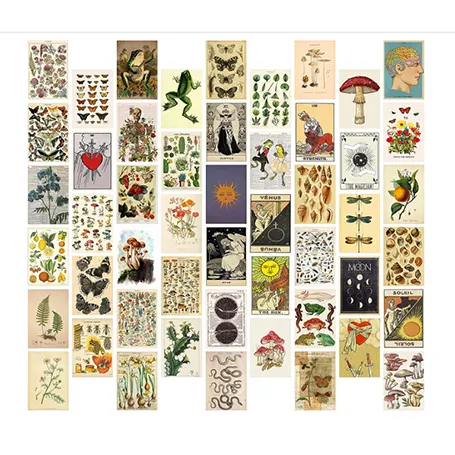 50 delar Vintage Botanical väggcollage kit