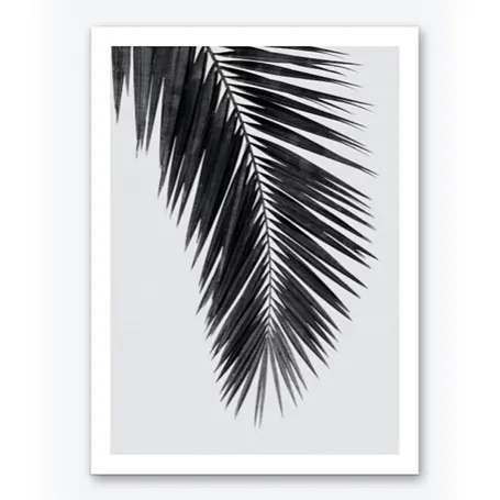 Palm Leaf Svartvit konsttryck