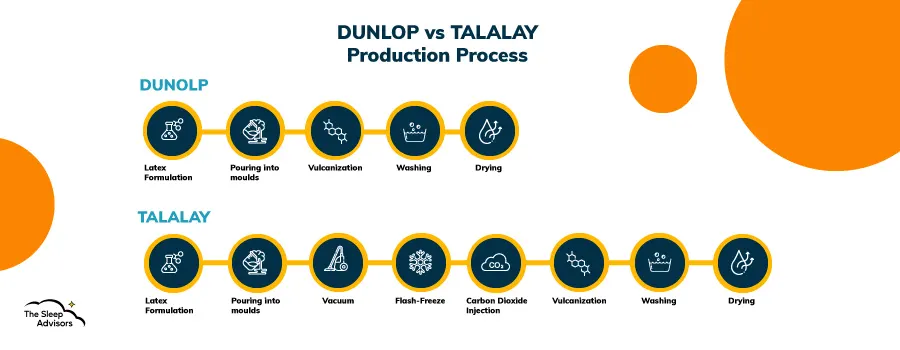 En infografik som visar skillnaderna mellan tillverkningen av Dunlop- och Talalay-latex